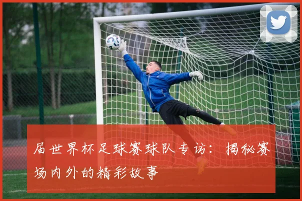 届世界杯足球赛球队专访：揭秘赛场内外的精彩故事